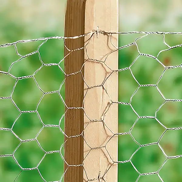 Bild 3 von Powertec Garden Drahtgeflecht