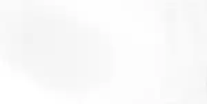 Wandfliese Silva 30 x 60 cm weiß glanz