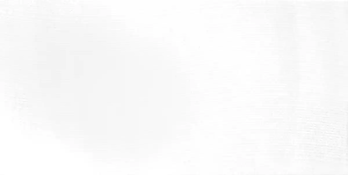 Bild 1 von Wandfliese Silva 30 x 60 cm weiß glanz