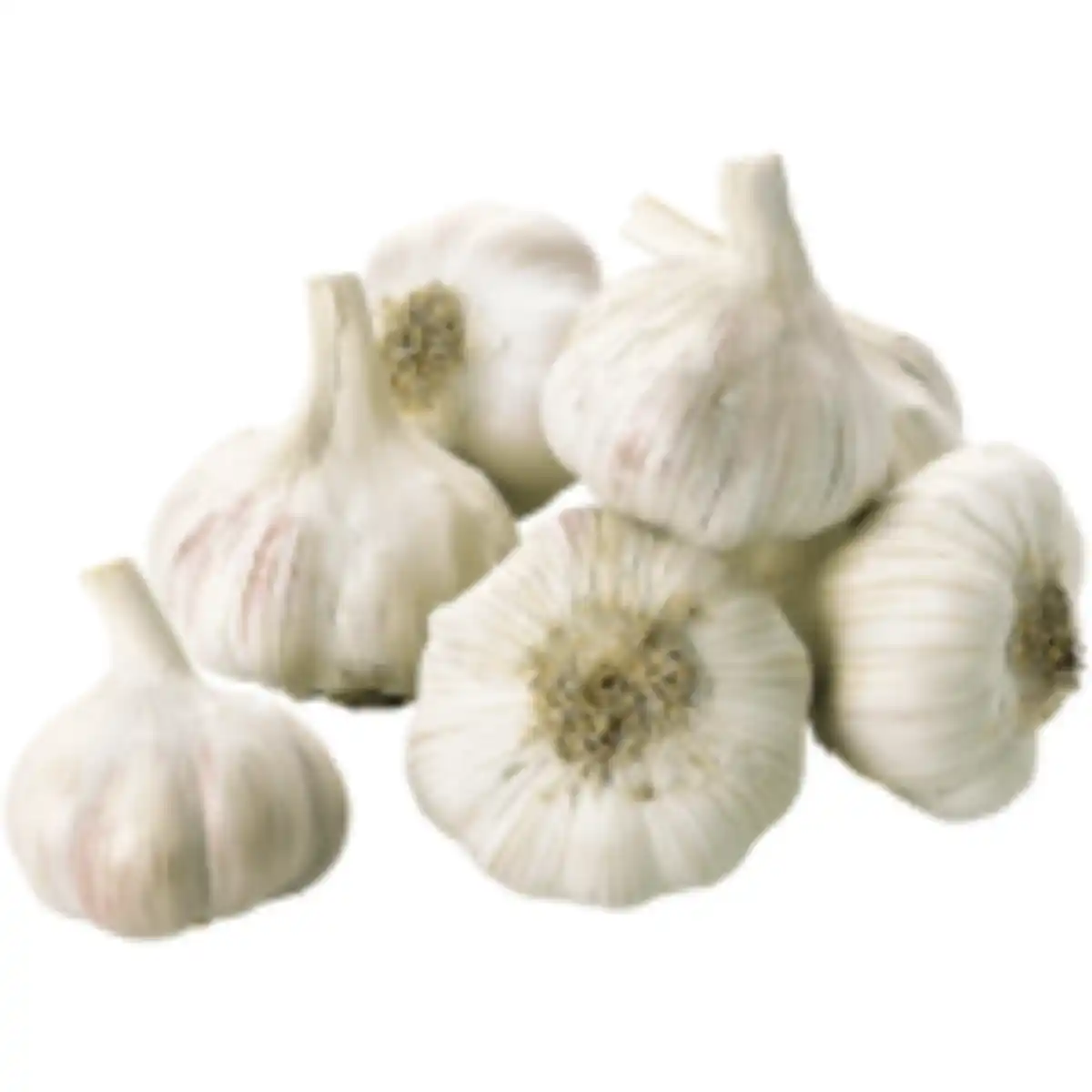 Bild 1 von Knoblauch