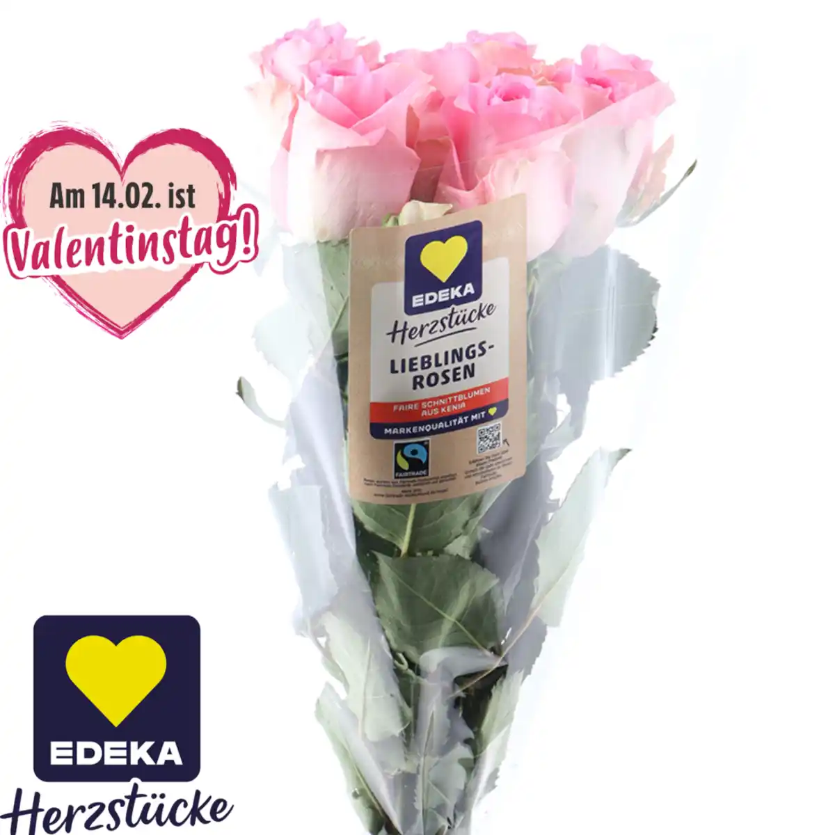 Bild 1 von Hochlandrosen