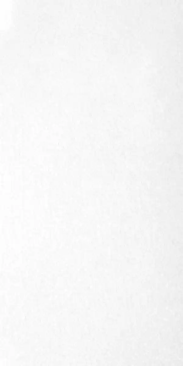 Bild 1 von Wandfliese Cali 30 x 60 cm weiß glanz