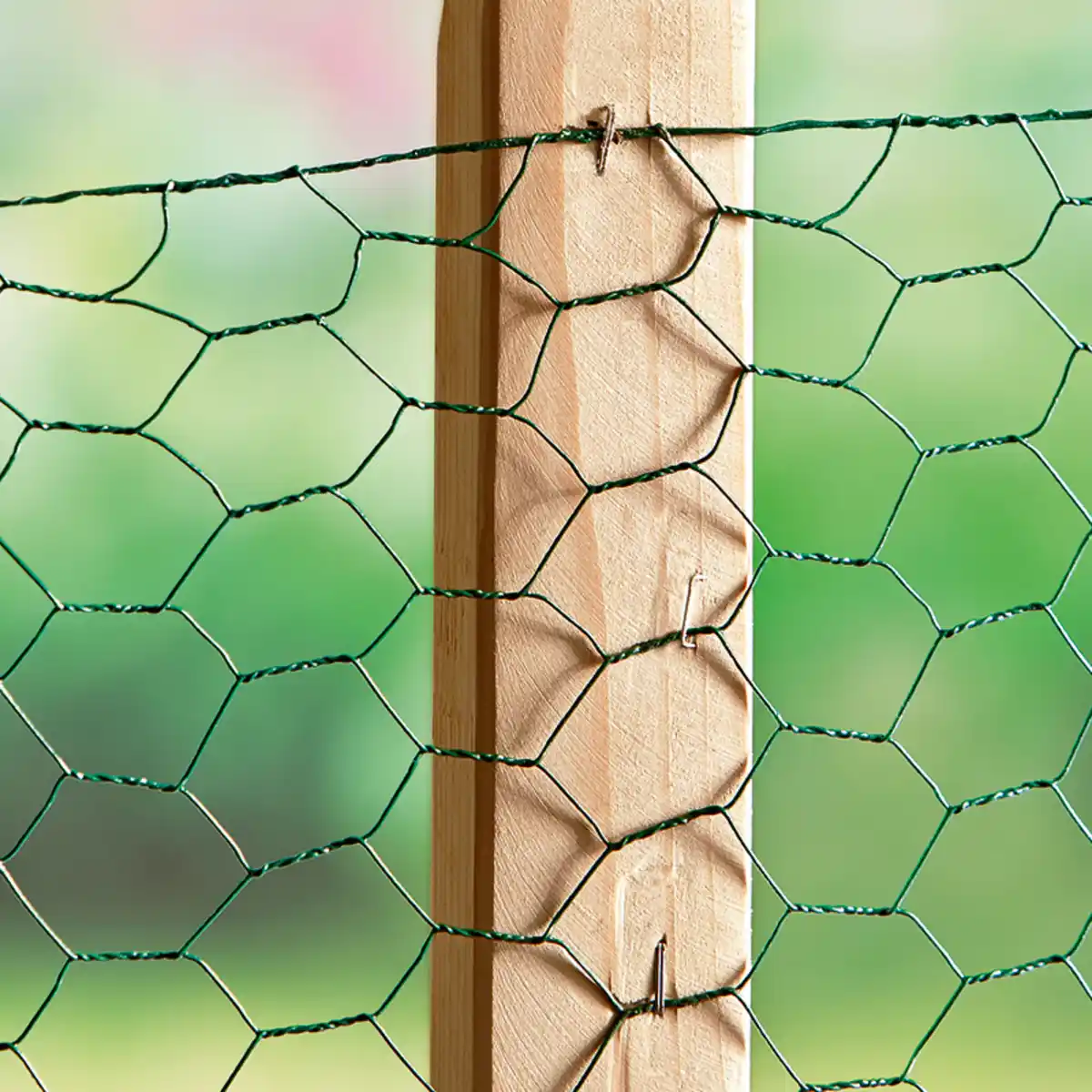 Bild 2 von Powertec Garden Drahtgeflecht