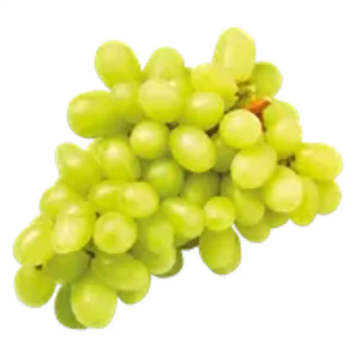 Bild 1 von Trauben kernlos