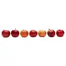 Bild 1 von Bio Naturland Äpfel Krumme Dinger 1 kg