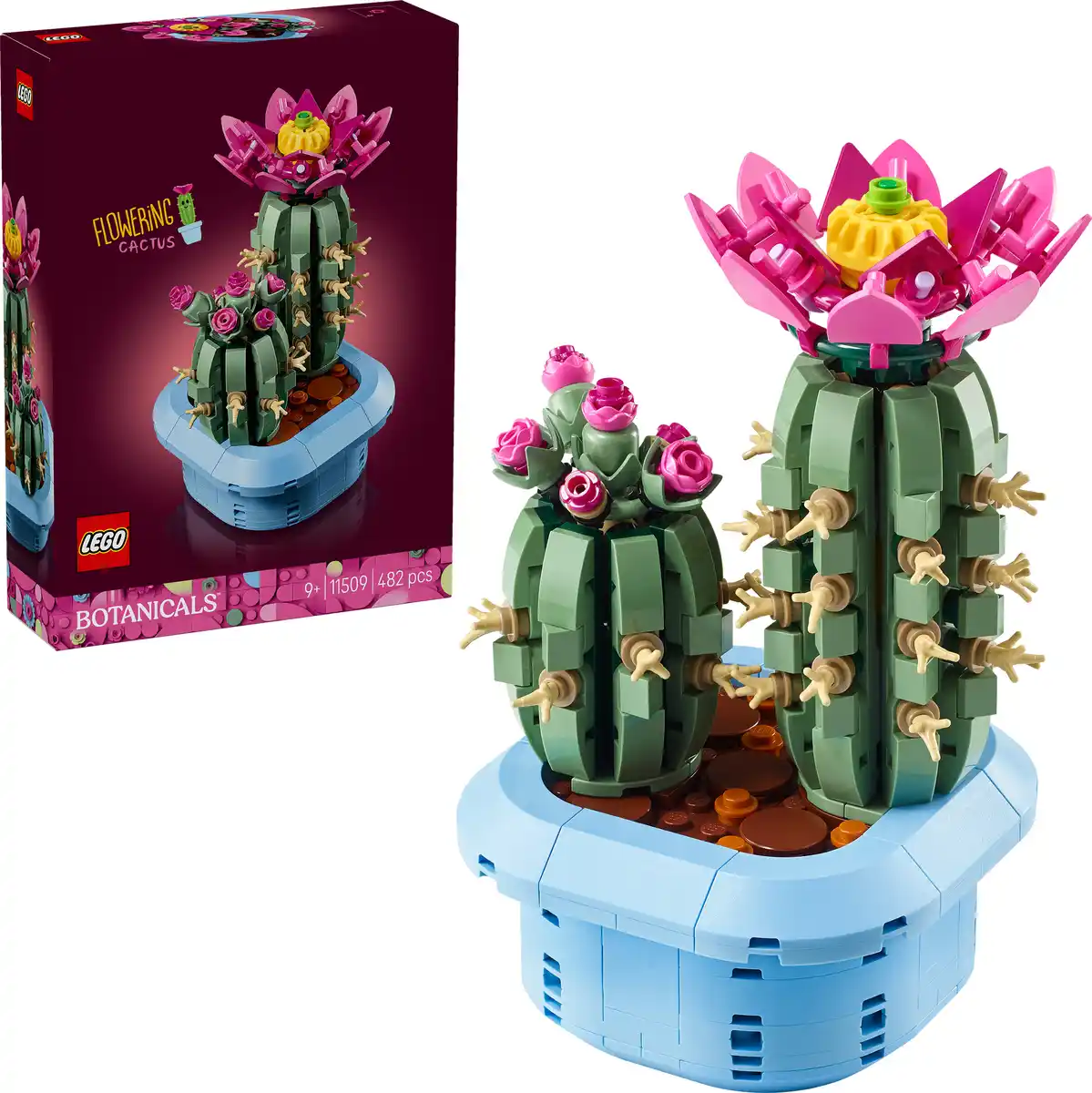 Bild 2 von LEGO 11509 Blooming Cactus