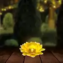 Bild 1 von Solar-Bodenleuchte aus Metall, ca. 18 cm