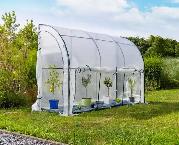 Bild 2 von XXL Ganzjahres-Gewächshaus mit isolierender Bodenmatte, ca. 300x100x200 cm – Transparent