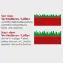 Bild 4 von Elektro Vertikutierer SC38