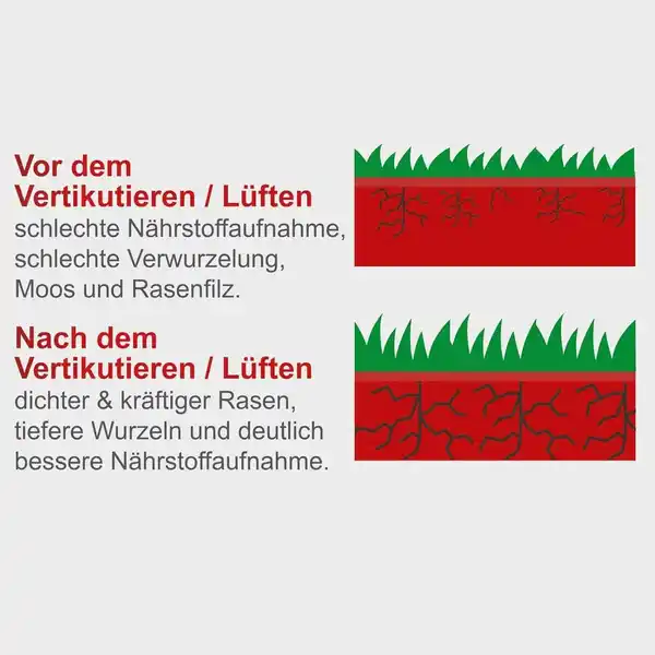 Bild 4 von Elektro Vertikutierer SC38