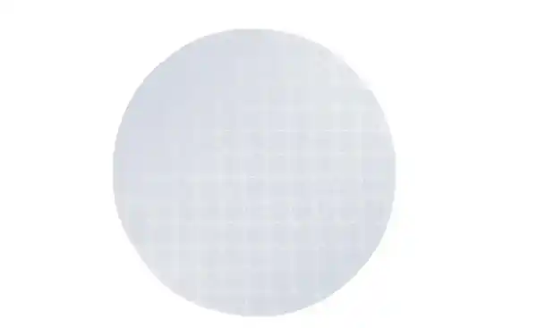 Bild 2 von JOOP! Platzset Cornflower Allover