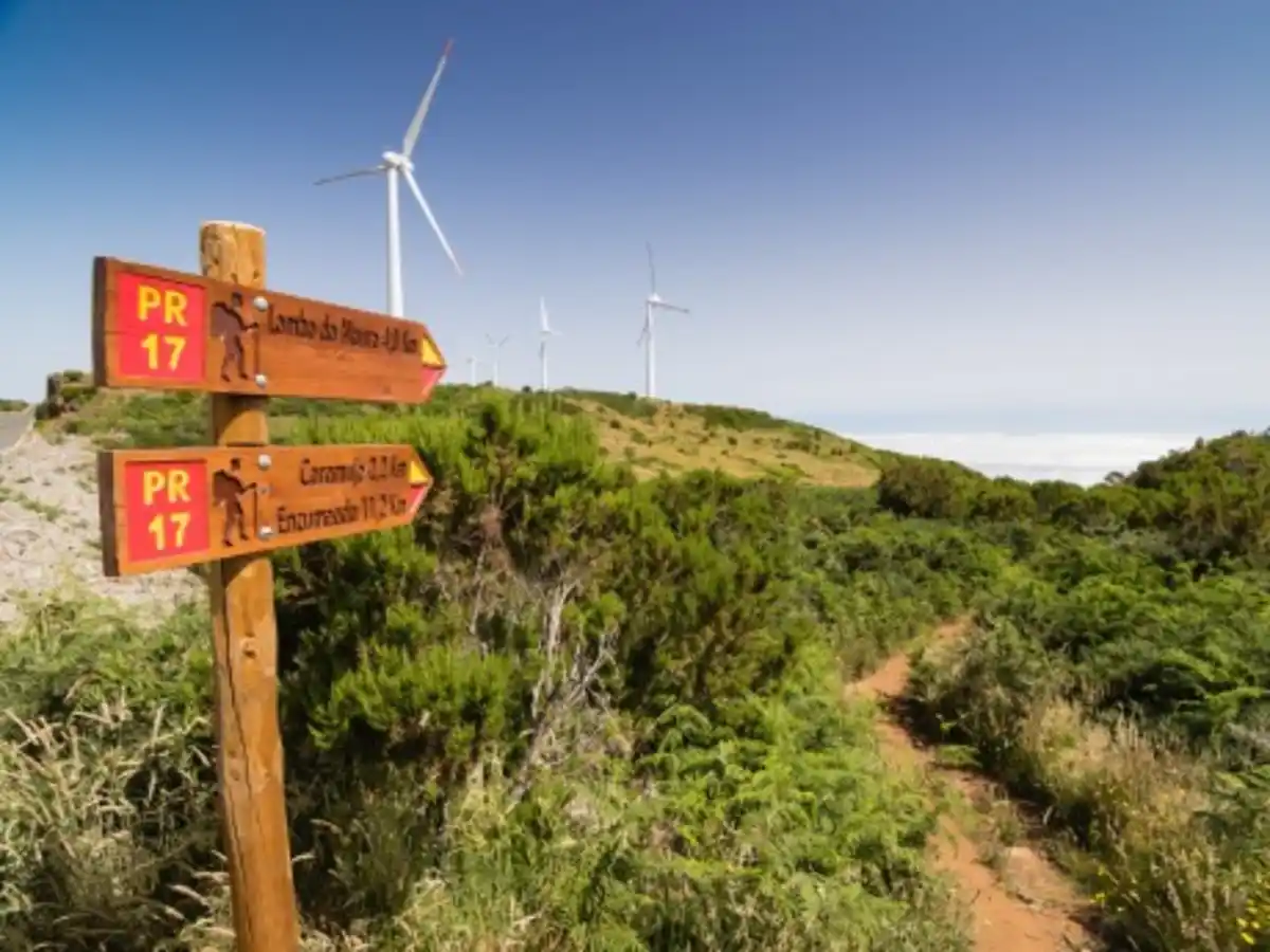 Bild 1 von Rundreisen Portugal - Madeira: Wanderreise entlang Madeiras wilder Nordküste mit Levadawegen, Nebelwald und Atlantikblicken
