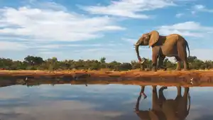 Rundreisen Namibia, Botswana & Simbabwe: Abenteuer Afrika - zwischen Elefanten, Flüssen und Viktoriafällen