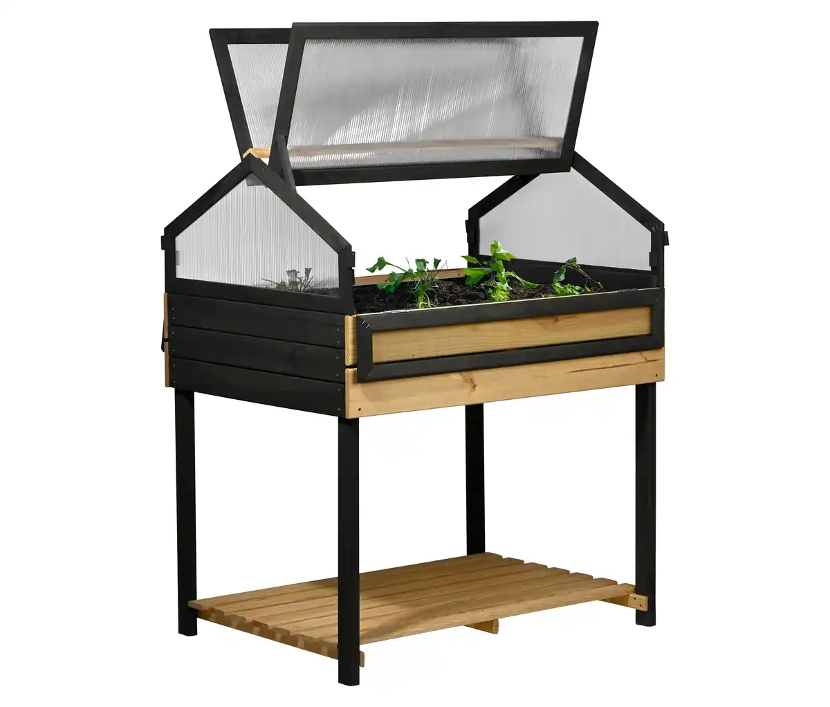 Bild 1 von 4-Jahreszeiten-Hochbeet, XXL