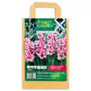 Bild 3 von Finest Garden Blumenzwiebeln in Papiertasche