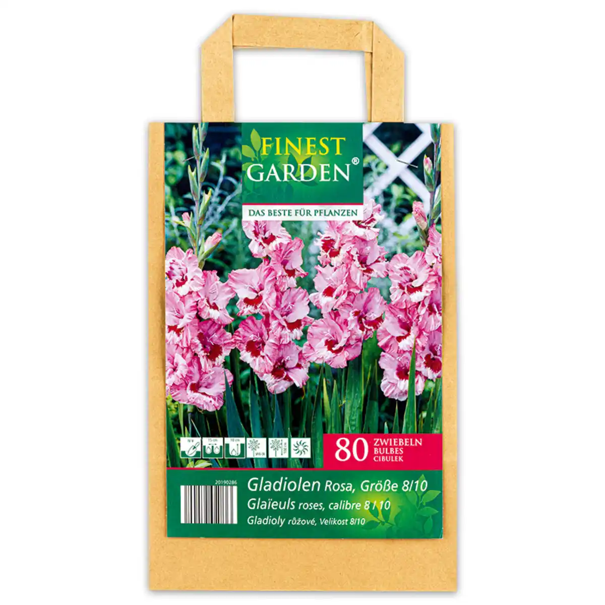 Bild 3 von Finest Garden Blumenzwiebeln in Papiertasche
