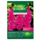 Bild 3 von Finest Garden Frühjahrsblumenzwiebeln