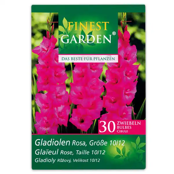 Bild 3 von Finest Garden Frühjahrsblumenzwiebeln