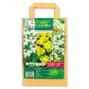 Bild 2 von Finest Garden Blumenzwiebeln in Papiertasche