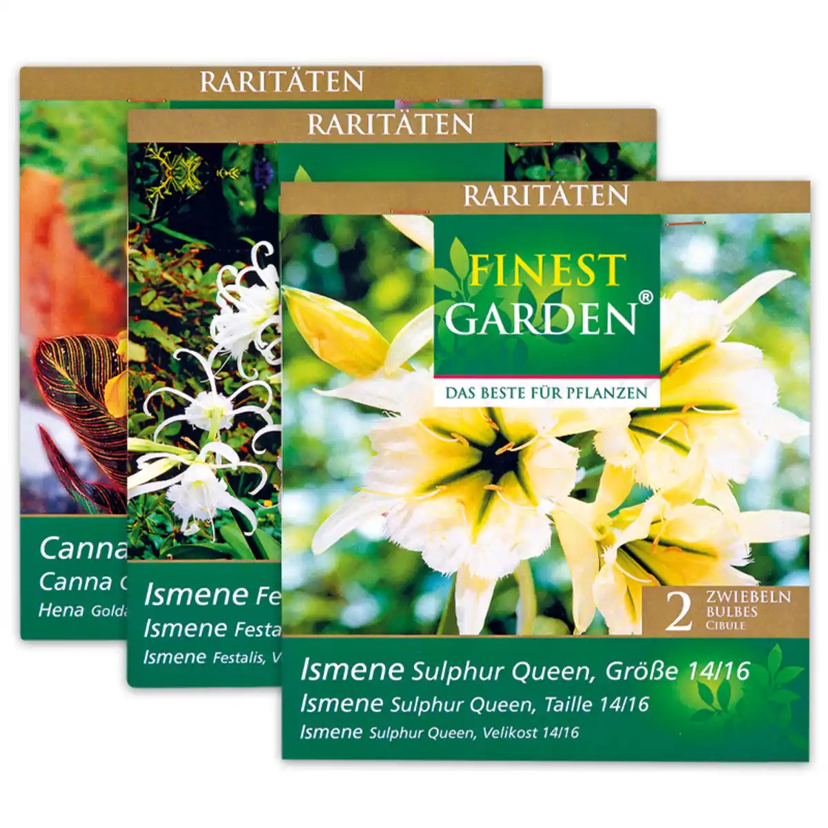 Bild 1 von Finest Garden Raritäten Frühjahrsblumenzwiebeln