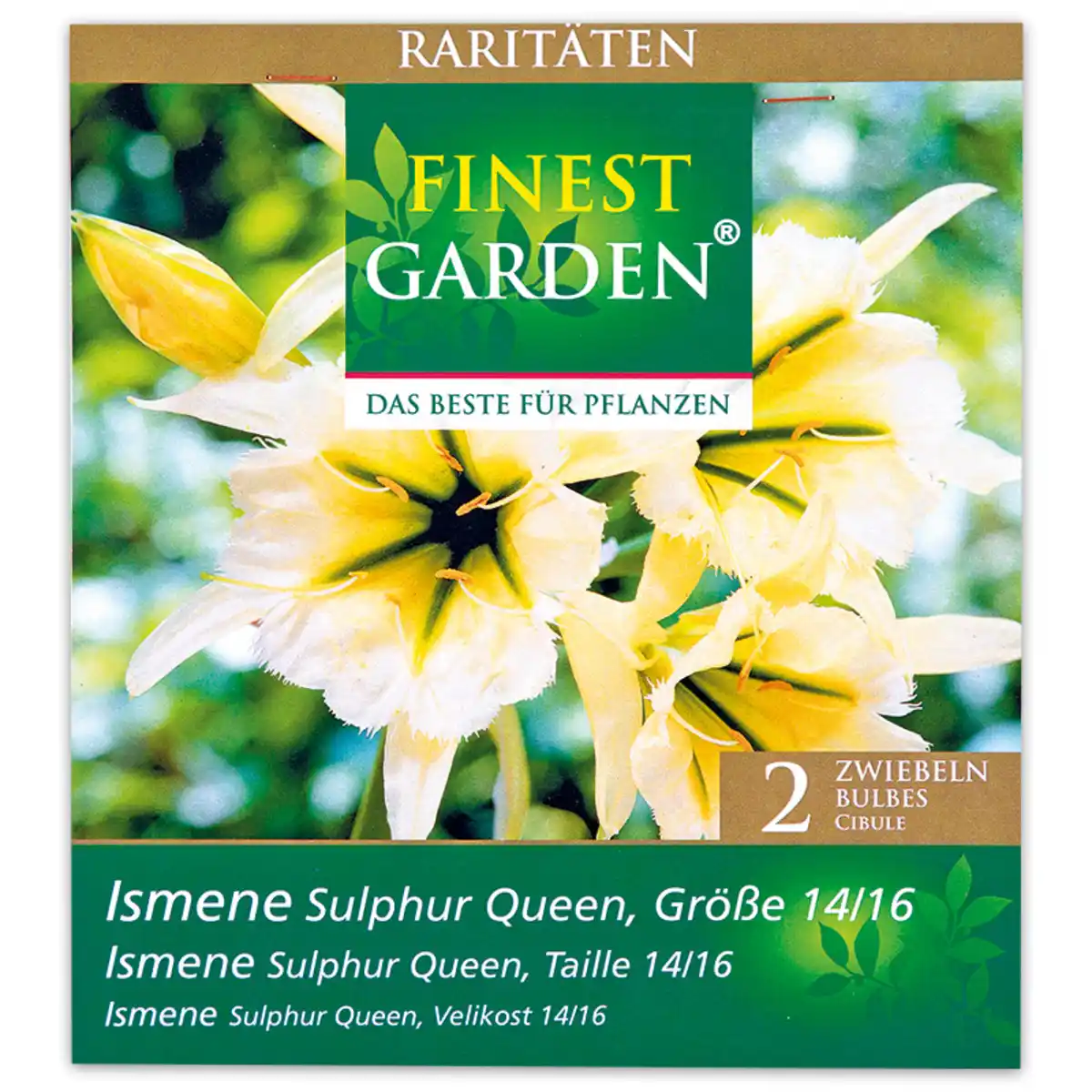 Bild 2 von Finest Garden Raritäten Frühjahrsblumenzwiebeln