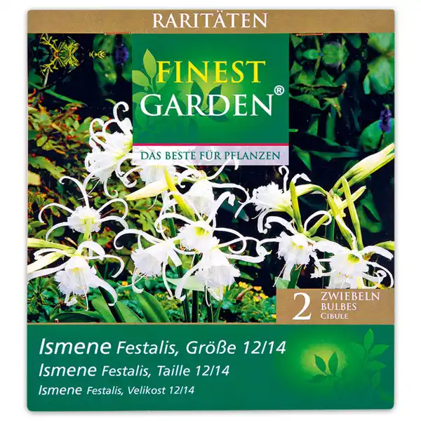 Bild 3 von Finest Garden Raritäten Frühjahrsblumenzwiebeln