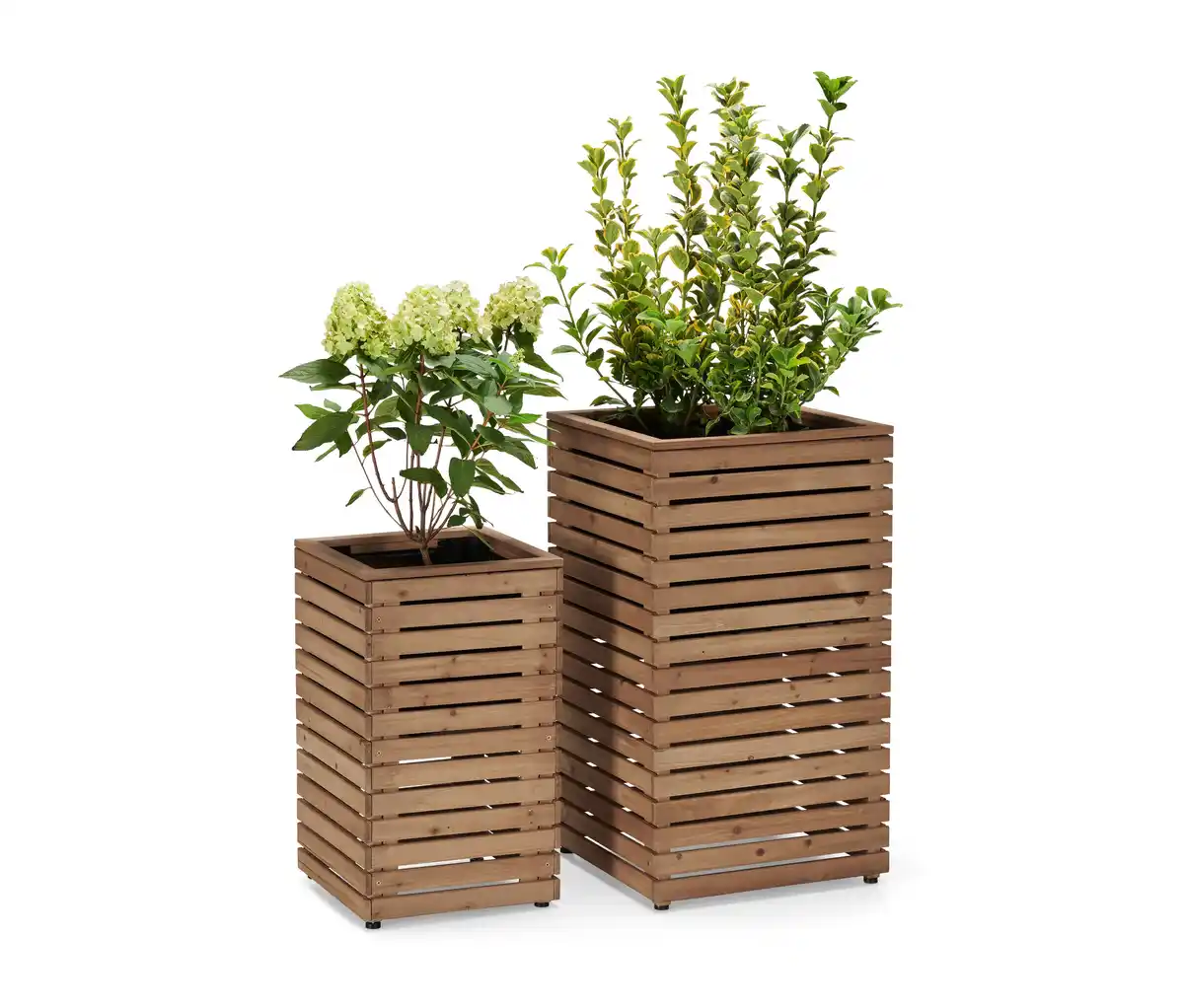 Bild 1 von 2 Pflanzsäulen »Tinus«