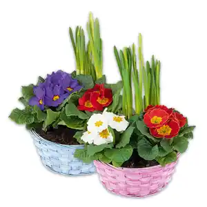 Bunter Frühlingskorb