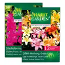 Bild 1 von Finest Garden Frühjahrsblumenzwiebeln