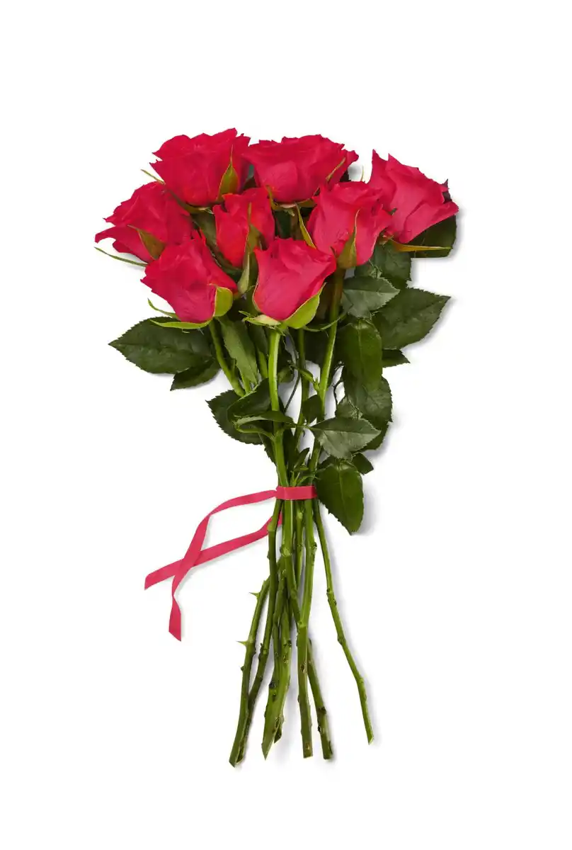 Bild 2 von Rosenstrauß