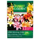 Bild 2 von Finest Garden Frühjahrsblumenzwiebeln