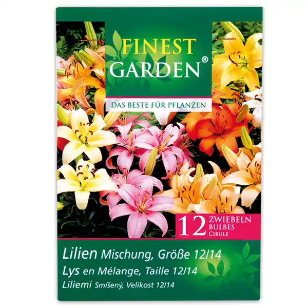 Bild 2 von Finest Garden Frühjahrsblumenzwiebeln