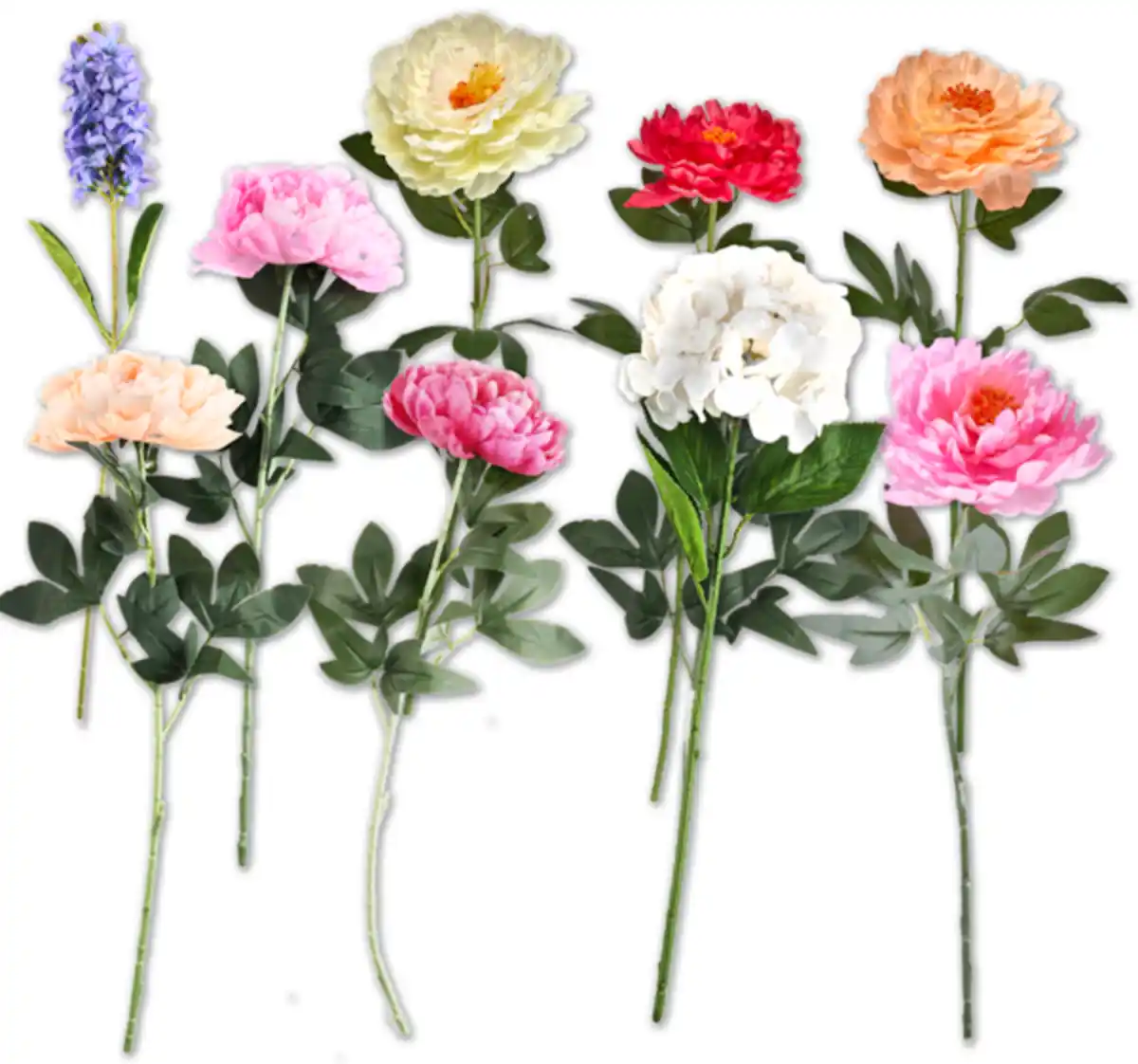 Bild 1 von Dekorative Schnittblume*