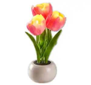 HOME IDEAS Seasons LED-Tulpen im Topf*