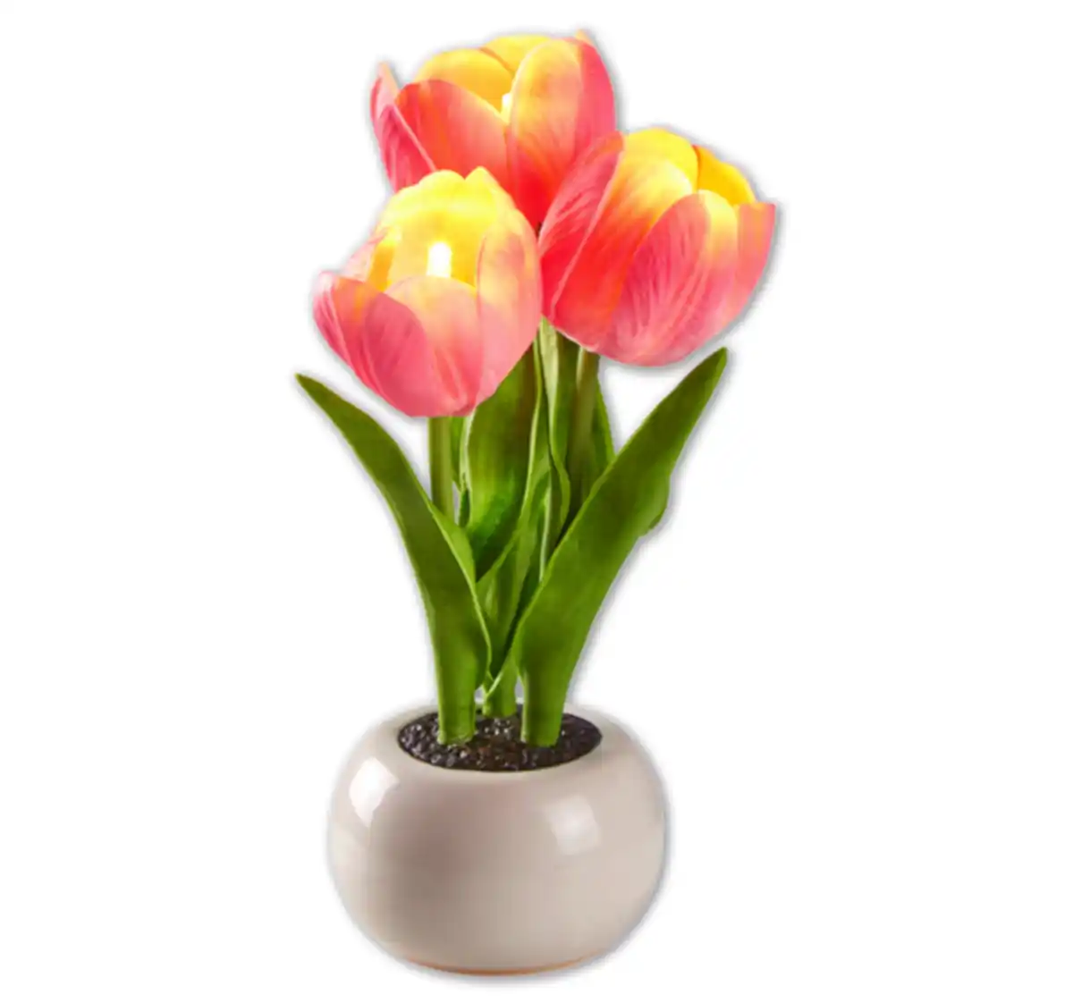 Bild 1 von HOME IDEAS Seasons LED-Tulpen im Topf*