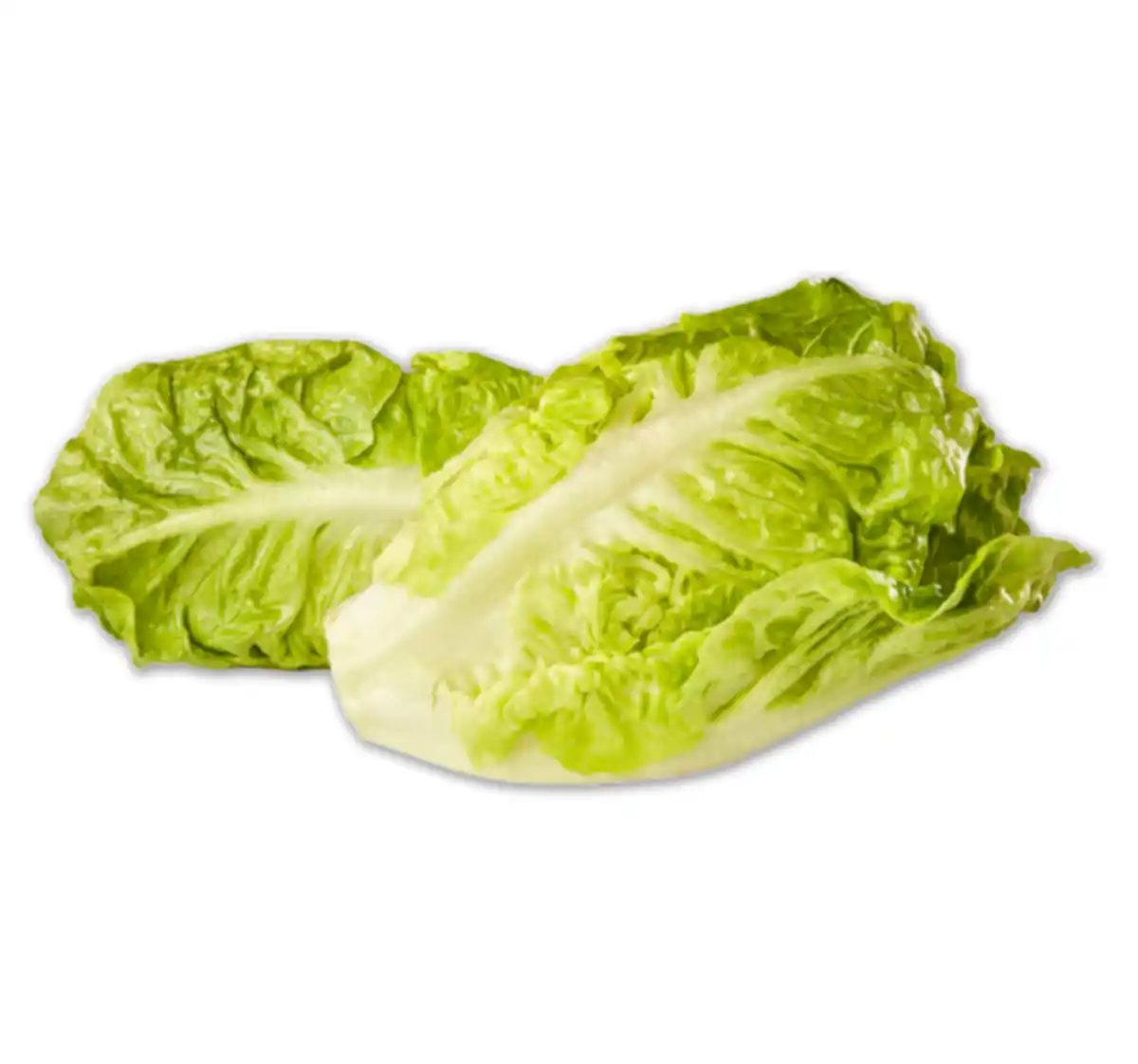 Bild 1 von Romana Salatherzen*