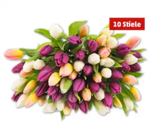 Tulpen „Hot & Fresh“ im Bund*