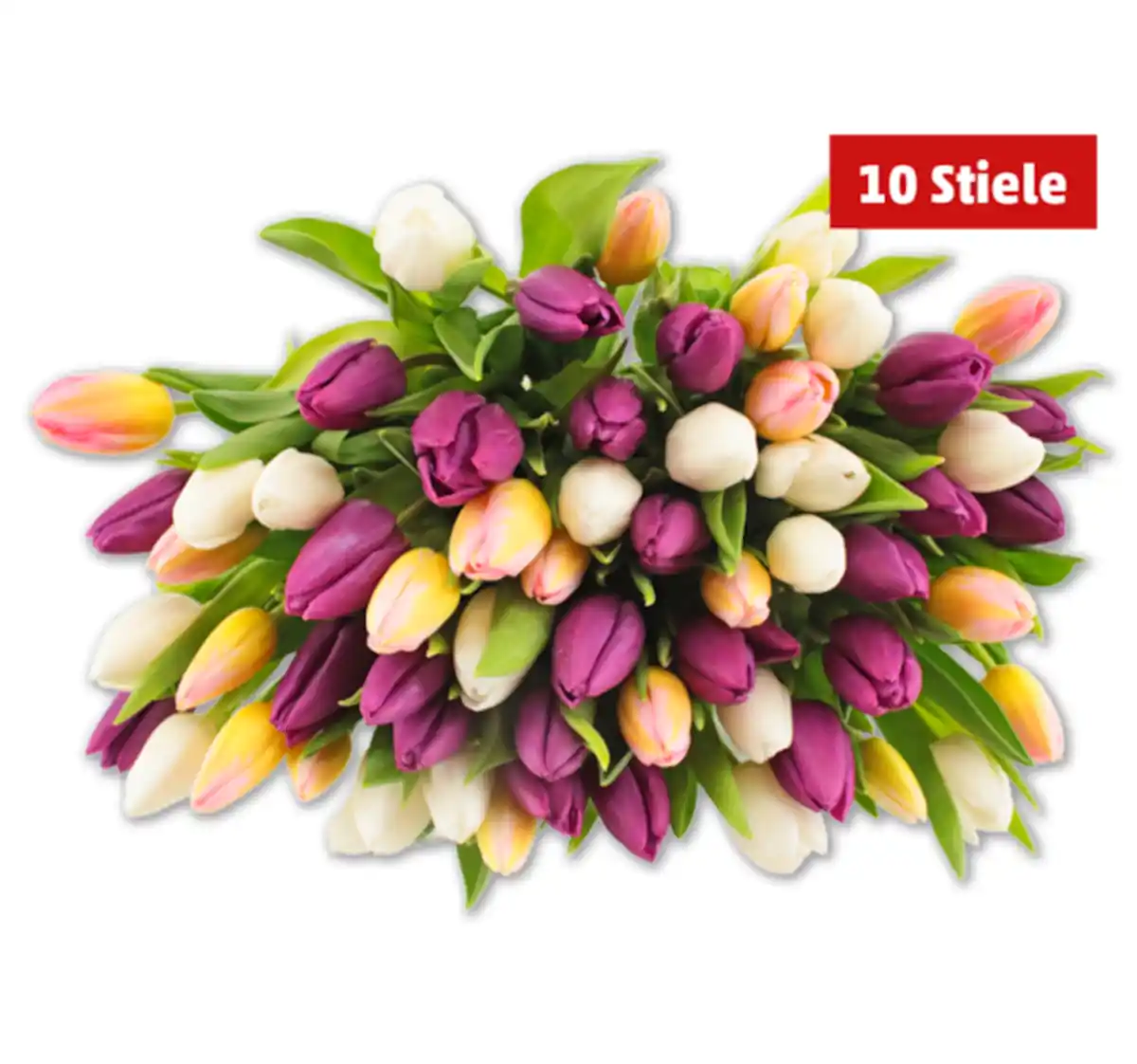 Bild 1 von Tulpen „Hot & Fresh“ im Bund*