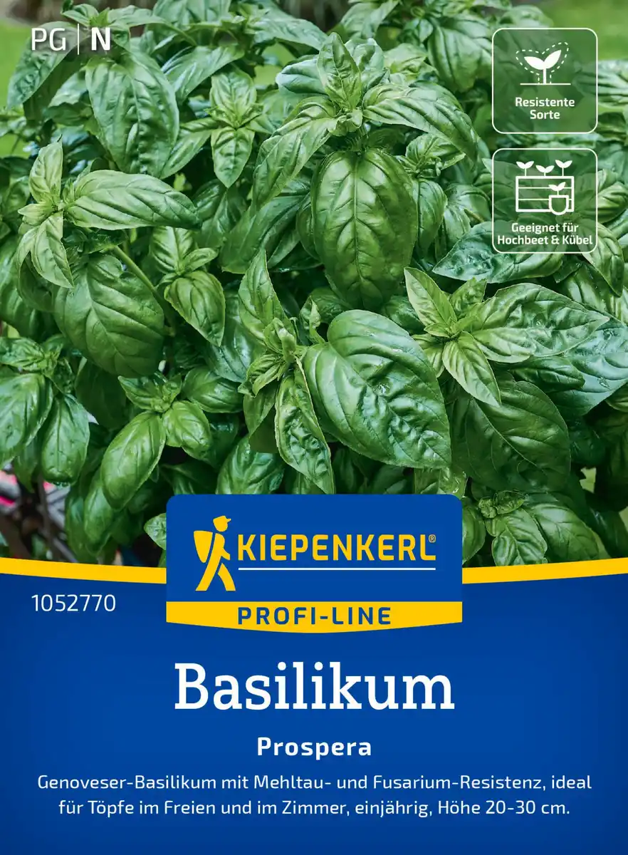 Bild 1 von Kiepenkerl Profi-Line Saatgut Basilikum Prospera F1 für ca. 50 Pflanzen