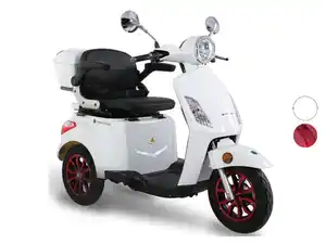 GreenStreet GreenStreet Elektromobil »E-Mover«, 20 km/h, 25km/h, 50 km Reichweite, mit Topcase