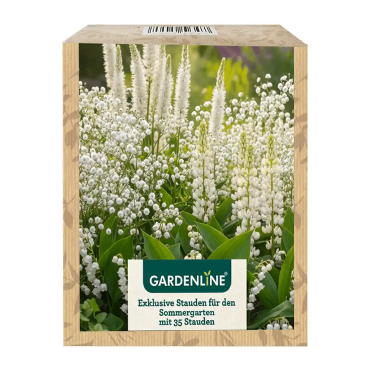 Bild 3 von GARDENLINE Stauden für den Sommergarten