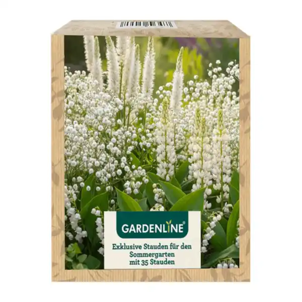 Bild 3 von GARDENLINE Stauden für den Sommergarten