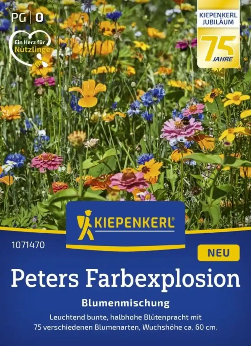 Bild 1 von Kiepenkerl Profi-Line Blumensamen Blumenmischung Peters Farbexplosion 2 g für ca. 2 - 3 m²