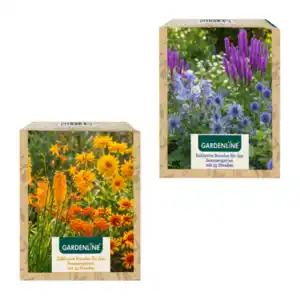 GARDENLINE Stauden für den Sommergarten