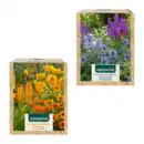 Bild 1 von GARDENLINE Stauden für den Sommergarten