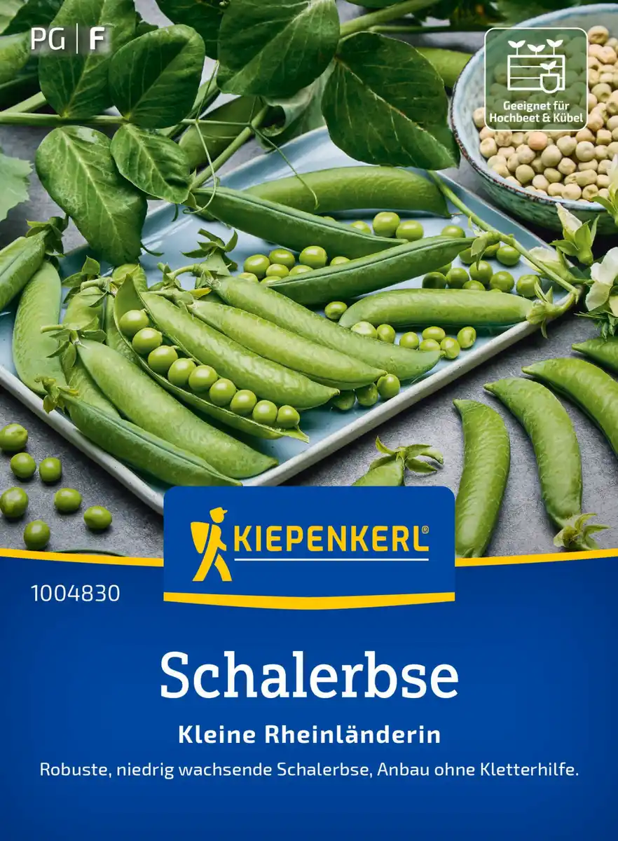 Bild 1 von Kiepenkerl Saatgut Schalerbsen Kleine Rheinländerin für ca. 2,4 – 4 m²