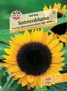 Bild 1 von Sperli Sonnenblume Full Sun F1