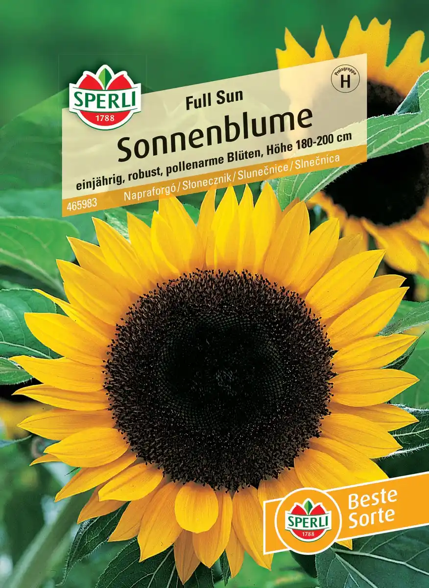 Bild 1 von Sperli Sonnenblume Full Sun F1