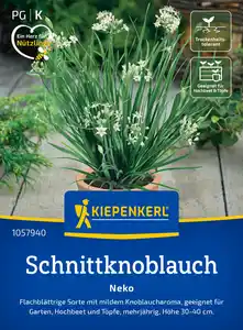Kiepenkerl Saatgut Schnittknoblauch Neko für ca. 100 Pflanzen