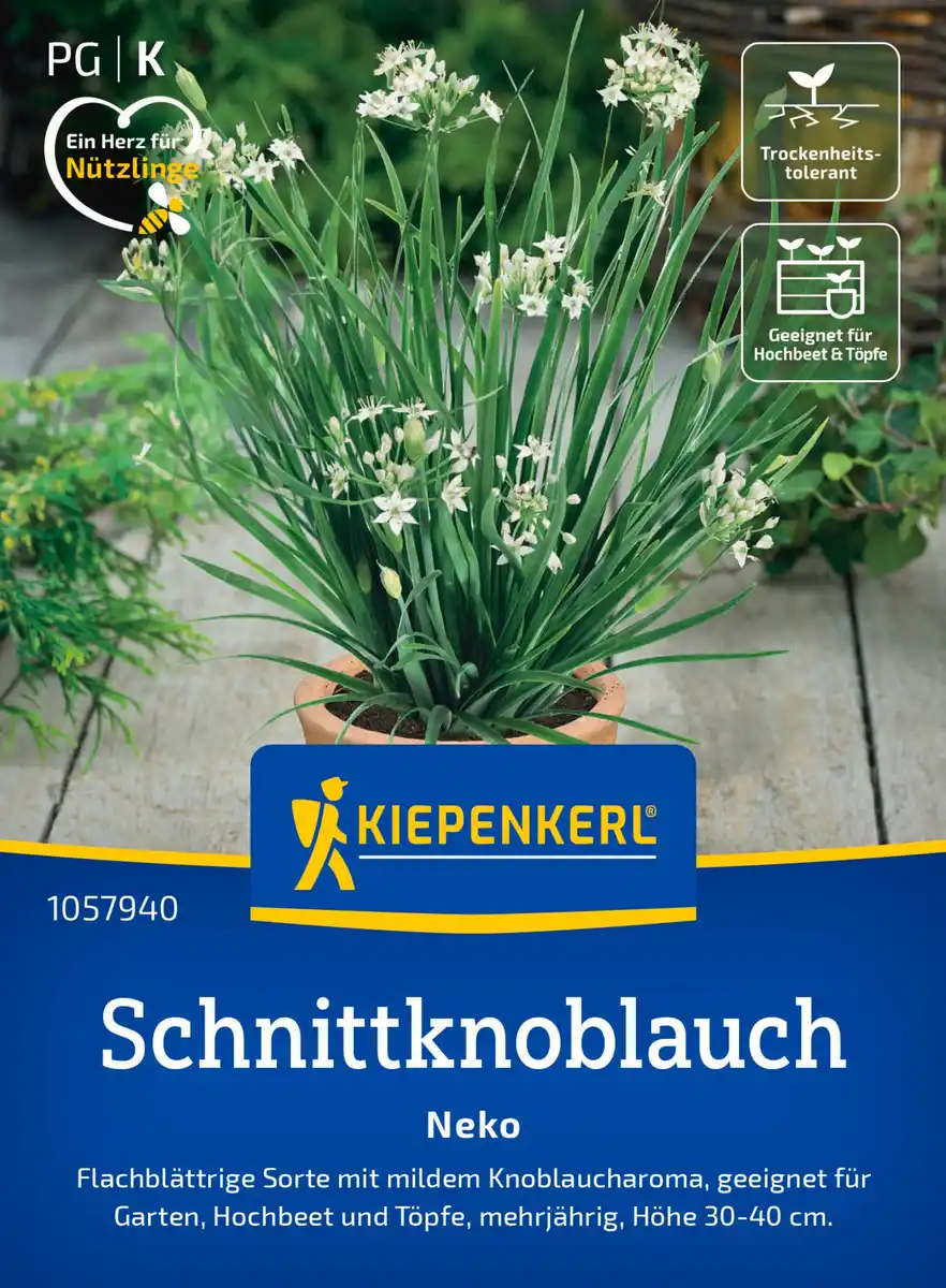 Bild 1 von Kiepenkerl Saatgut Schnittknoblauch Neko für ca. 100 Pflanzen